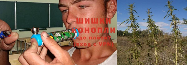 кокс Алзамай