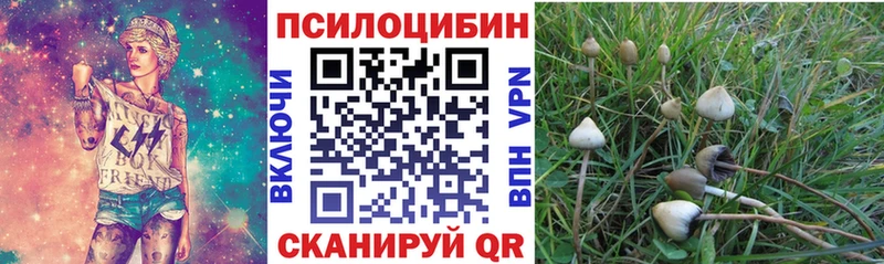 Псилоцибиновые грибы Psilocybine cubensis  дарнет шоп  Чердынь 
